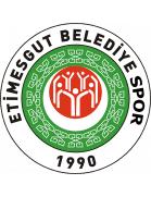 Team Logo