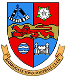 Team Logo
