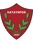 Team Logo