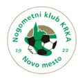 Team Logo