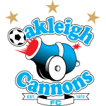 Team Logo