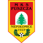 Team Logo