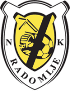 Team Logo