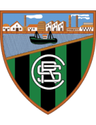 Team Logo