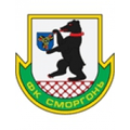 Team Logo