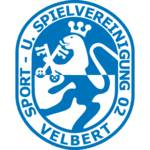 Team Logo