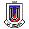Team Logo