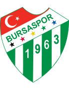 Team Logo