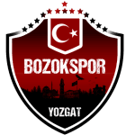Team Logo
